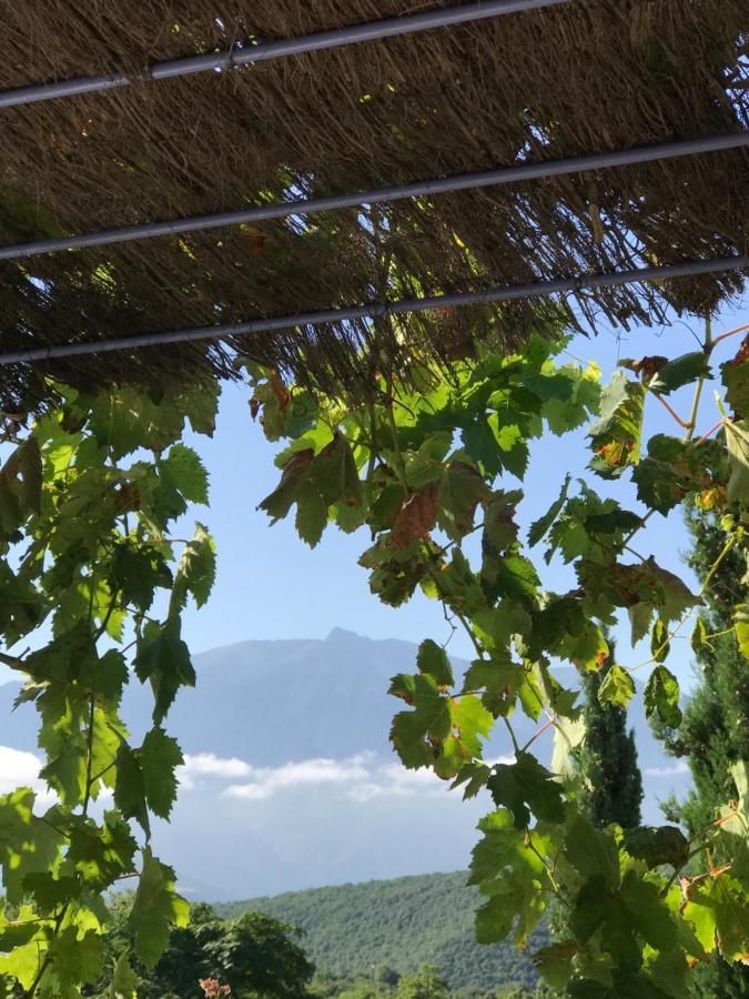 Maisonnette El Puy Moltig les Bains Εξωτερικό φωτογραφία